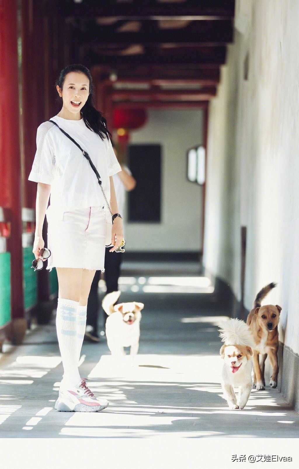 莫文蔚穿西装长腿,莫文蔚秀长腿完整版