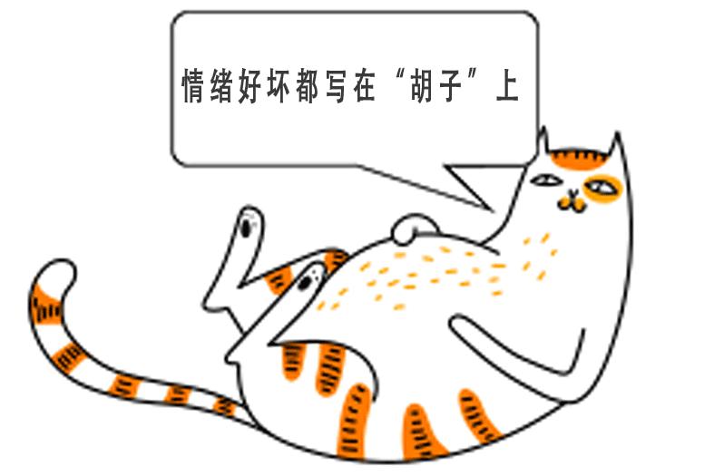 猫咪的天线有什么区别 (猫咪可以自带天线吗)