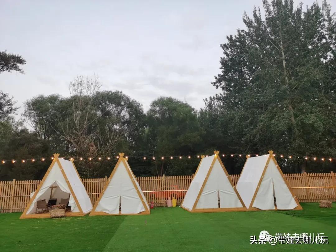 北京五环内新开萌宠乐园,除了喂动物,还能玩大滑梯、免费享帐篷