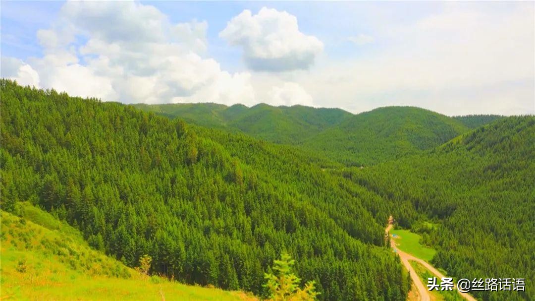 春暖花开等你来赏花,春暖花开等你来赏花原唱视频