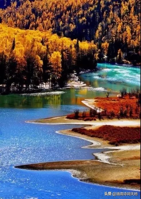 诗词大会寻味飞花令,诗词大会飞花令相思