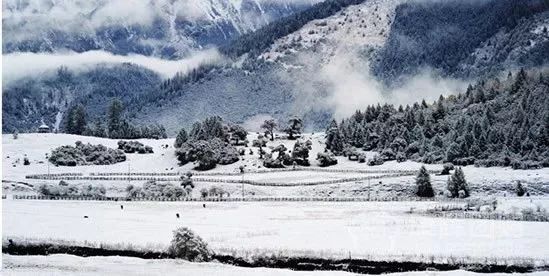 藏西秘境旅游攻略,去西藏旅游的十大理由