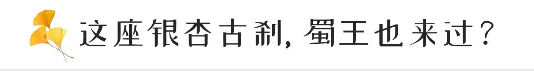 1h飚拢！千年银杏、云海星空、木屋烧烤……这条路线9……