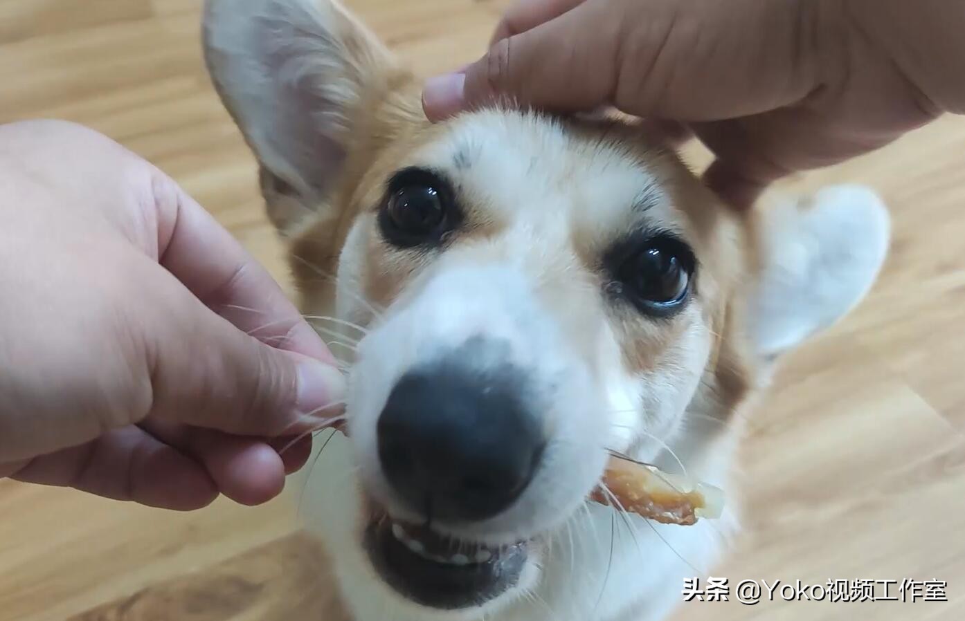 买电脑不要选8GB版，再去升级16GB？同型号也出兼容问题？