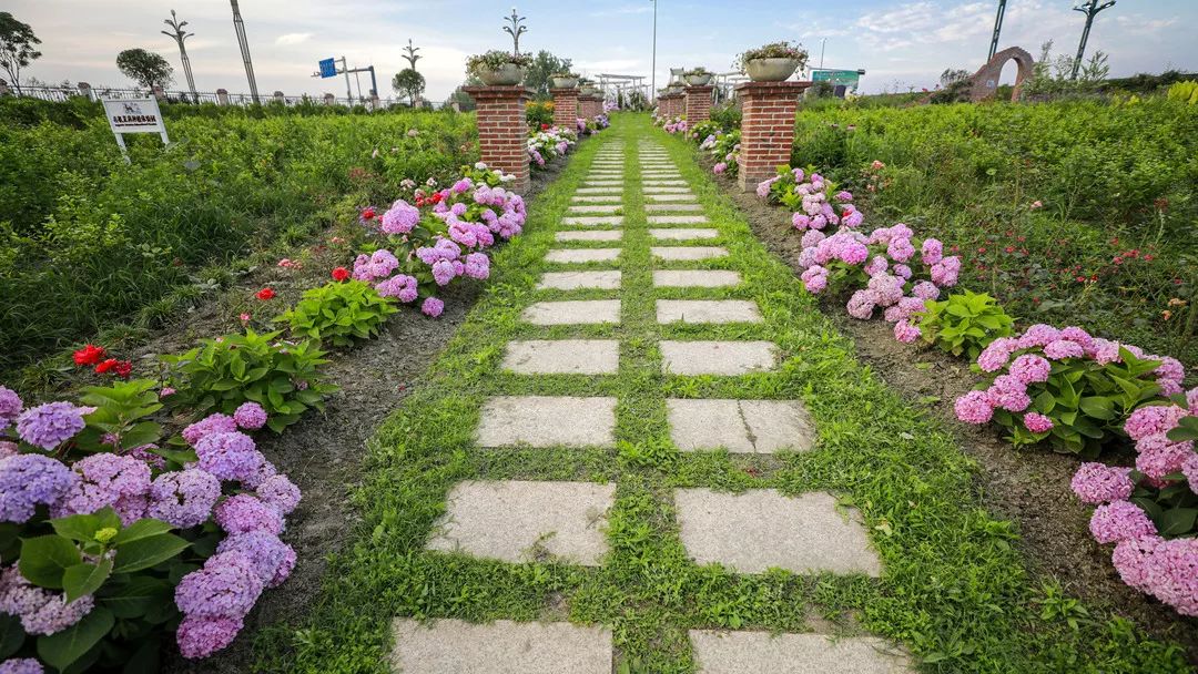 成都周边春季徒步旅游攻略,成都森林徒步旅游攻略