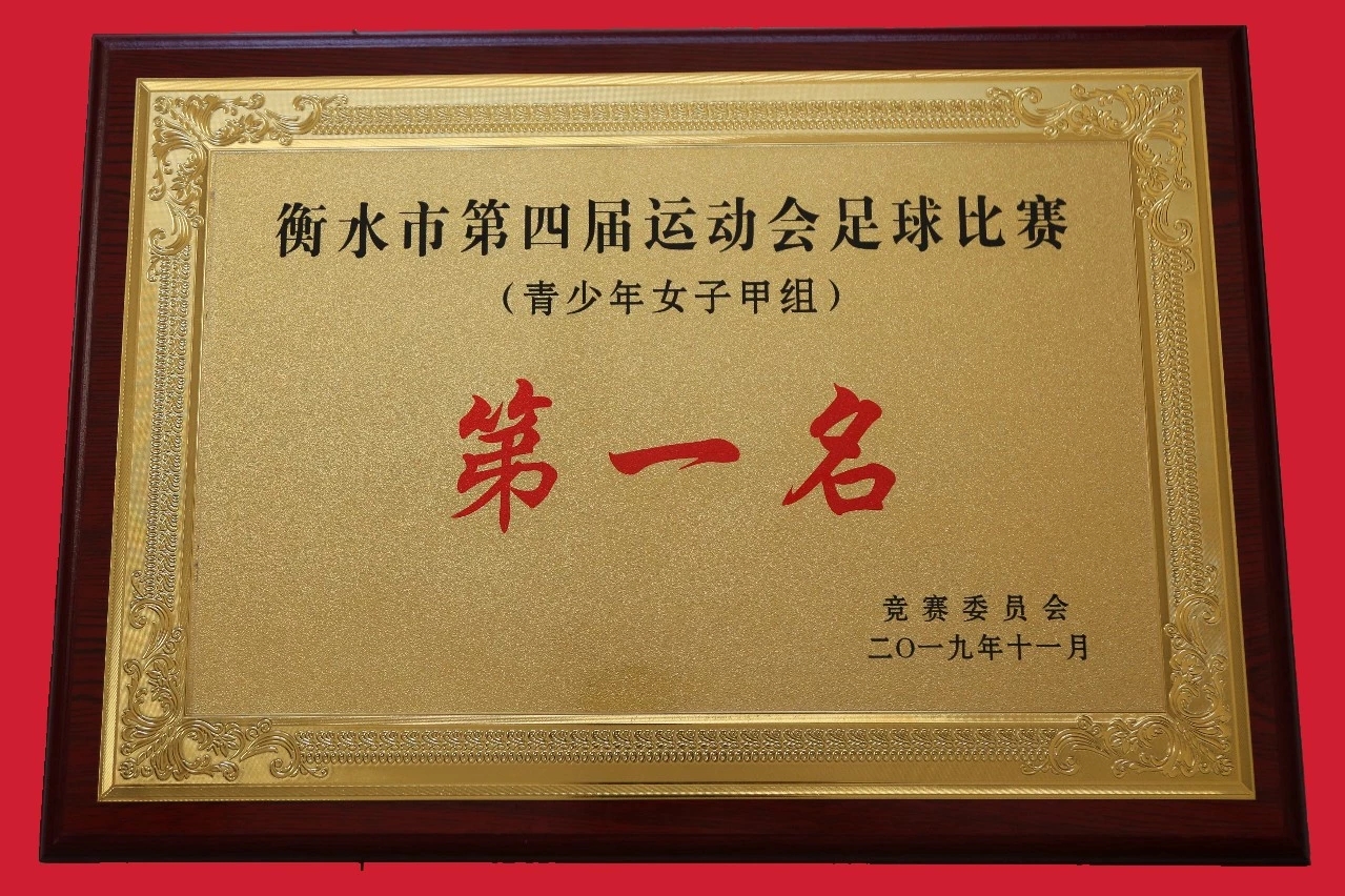 桃城中学中考大捷,衡水中学捷报2019