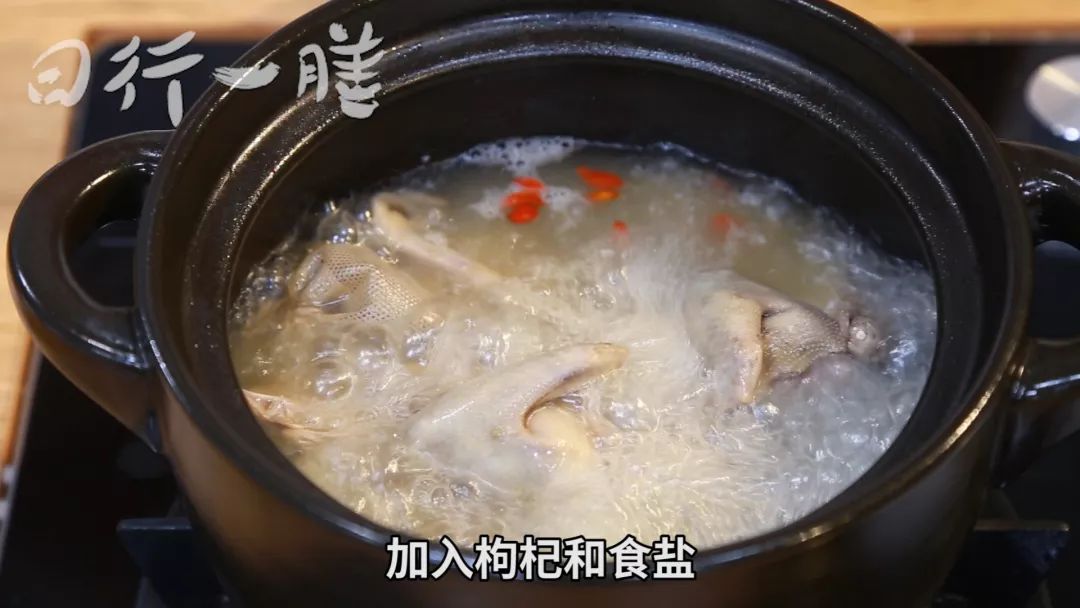 春季养肾鸽子汤,补肾鸽子汤怎么煲