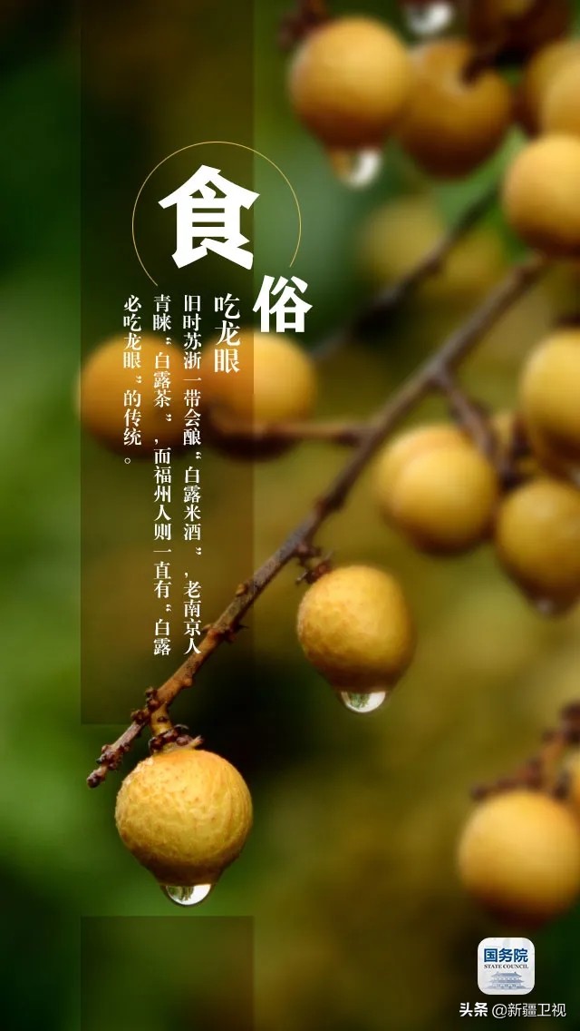 白露|“露凝而白也”，仲秋时节开始了