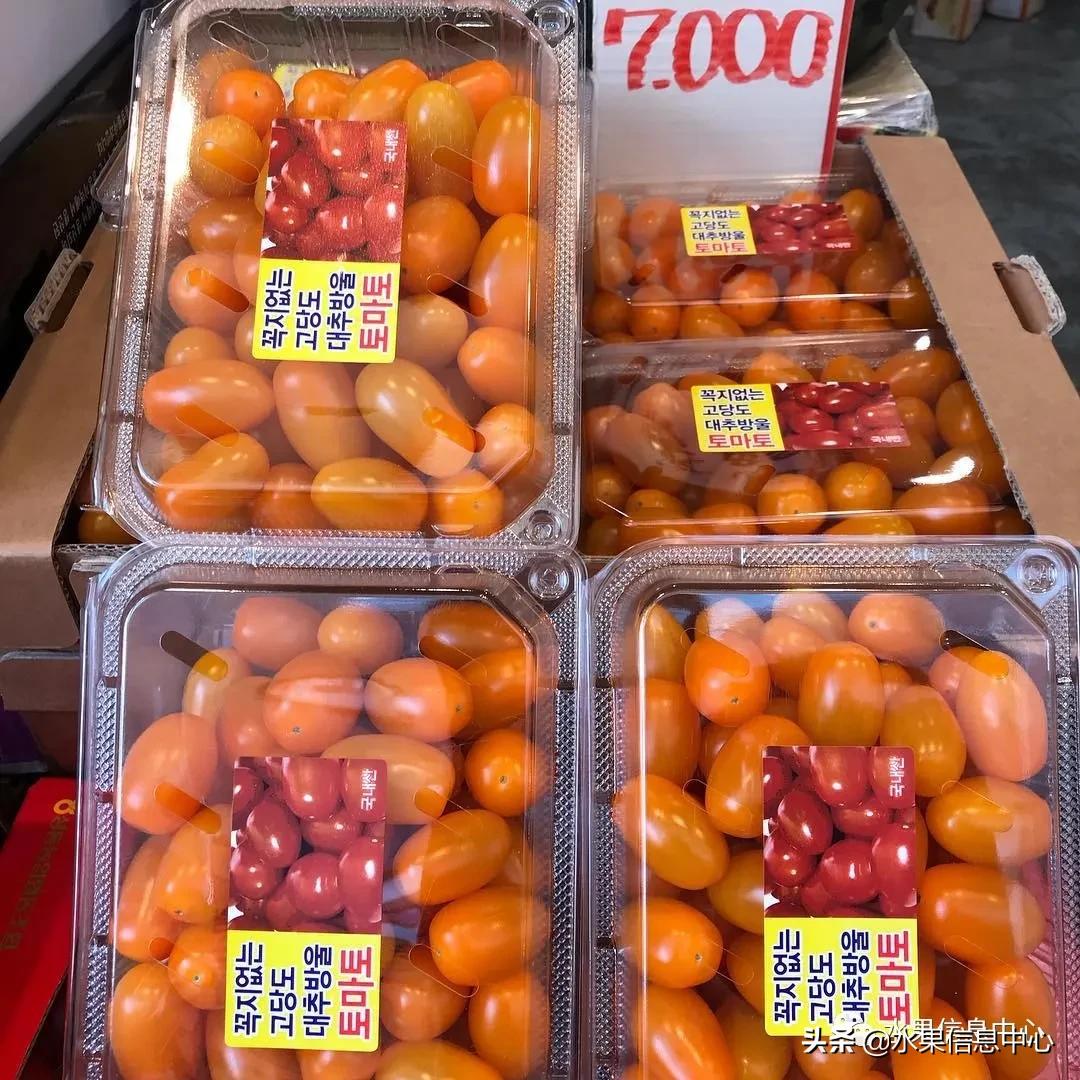 韩国水果批发市场进货渠道,韩国首尔最大的水果批发市场