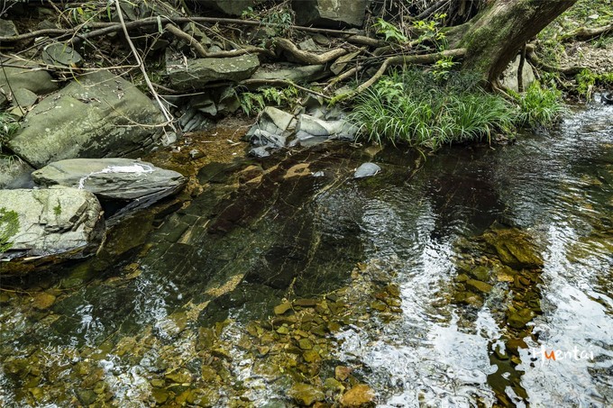 周末自驾游安徽郎溪,门票只花了30块,其它都是原生态秘境