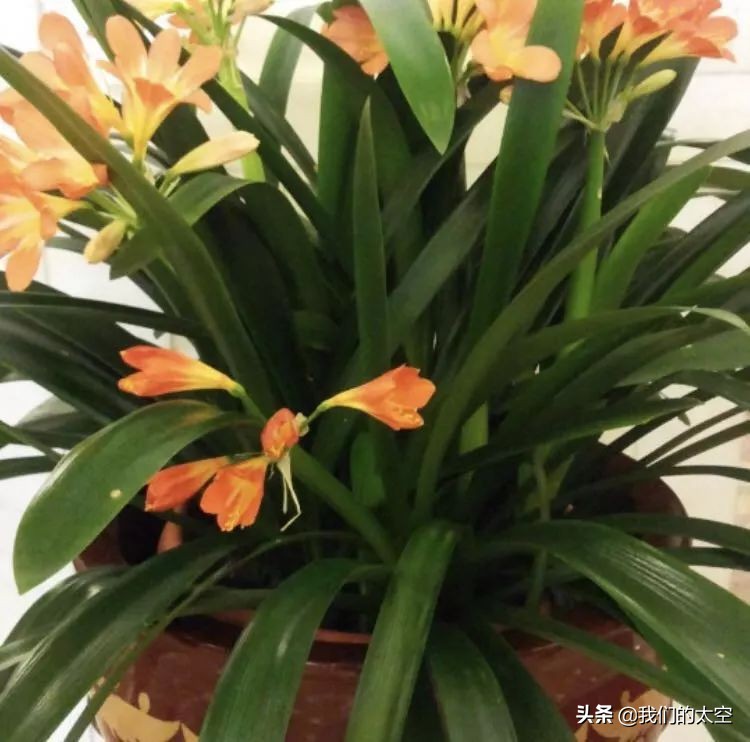 太空是啥“气质”？一众太粉儿用留言告诉你！（文末附彩蛋）