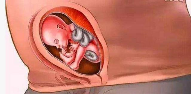 一到十月胎儿变化图,十月怀胎实际是几个月