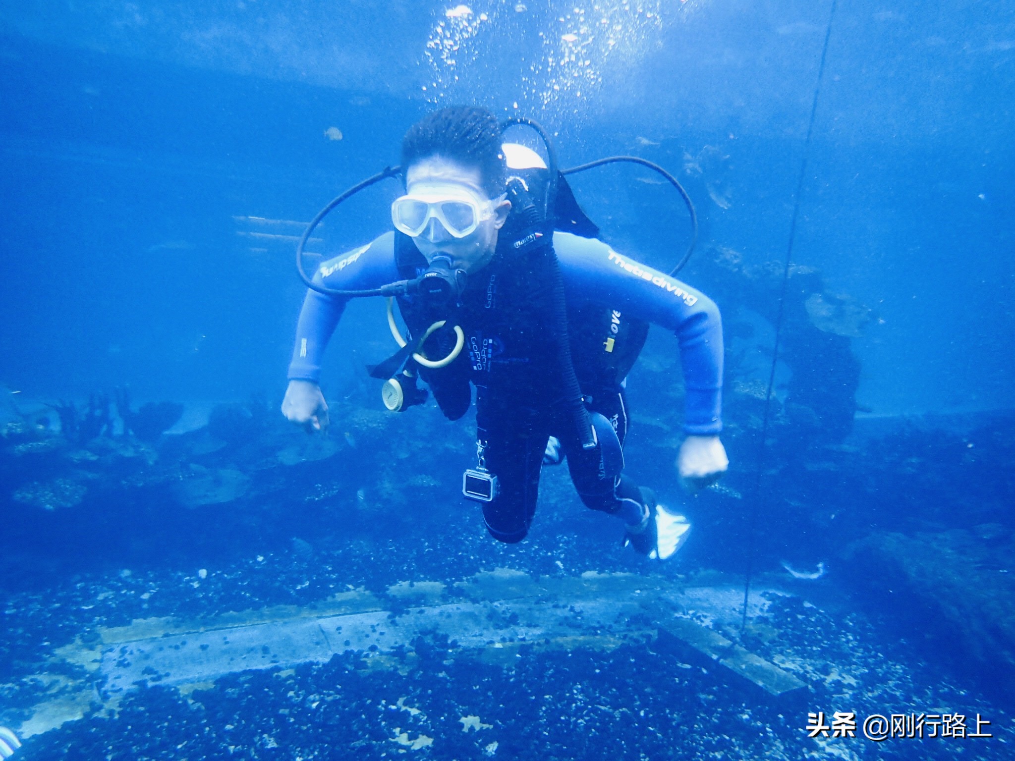 海棠湾天房洲际潜水,海棠湾洲际水族馆