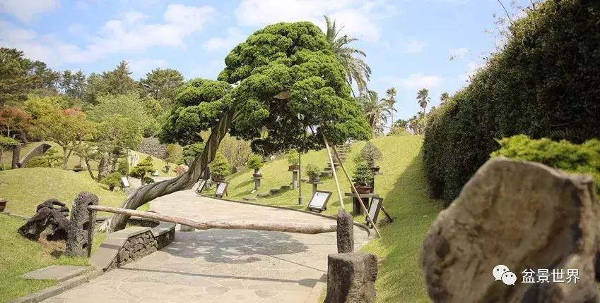 走进韩国思索之苑，这里算得上世界最美的庭园吗