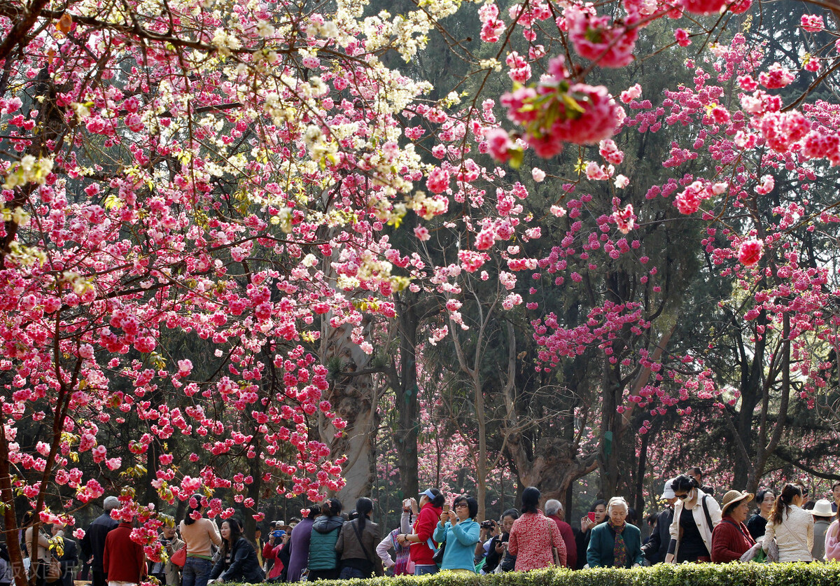 昆明市内游玩好去处 (云南昆明最值得玩的地方)