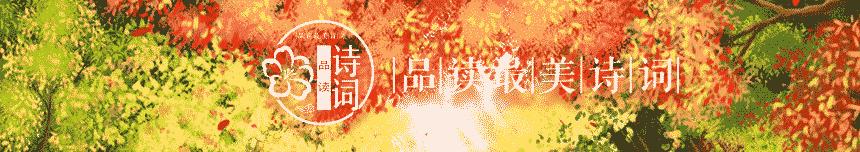 描写秋雨的诗句古诗10首,偏爱清秋夜雨时的上一句