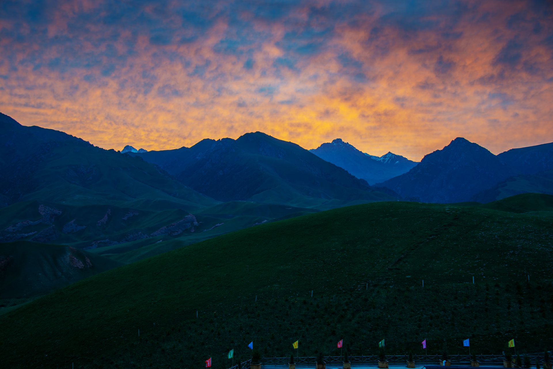 尼康z7最新人像片欣赏图,尼康z7摄影讲解