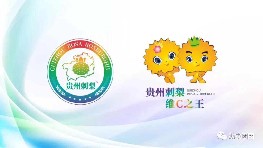 刺梨功能营养饮料,助农团团营养餐