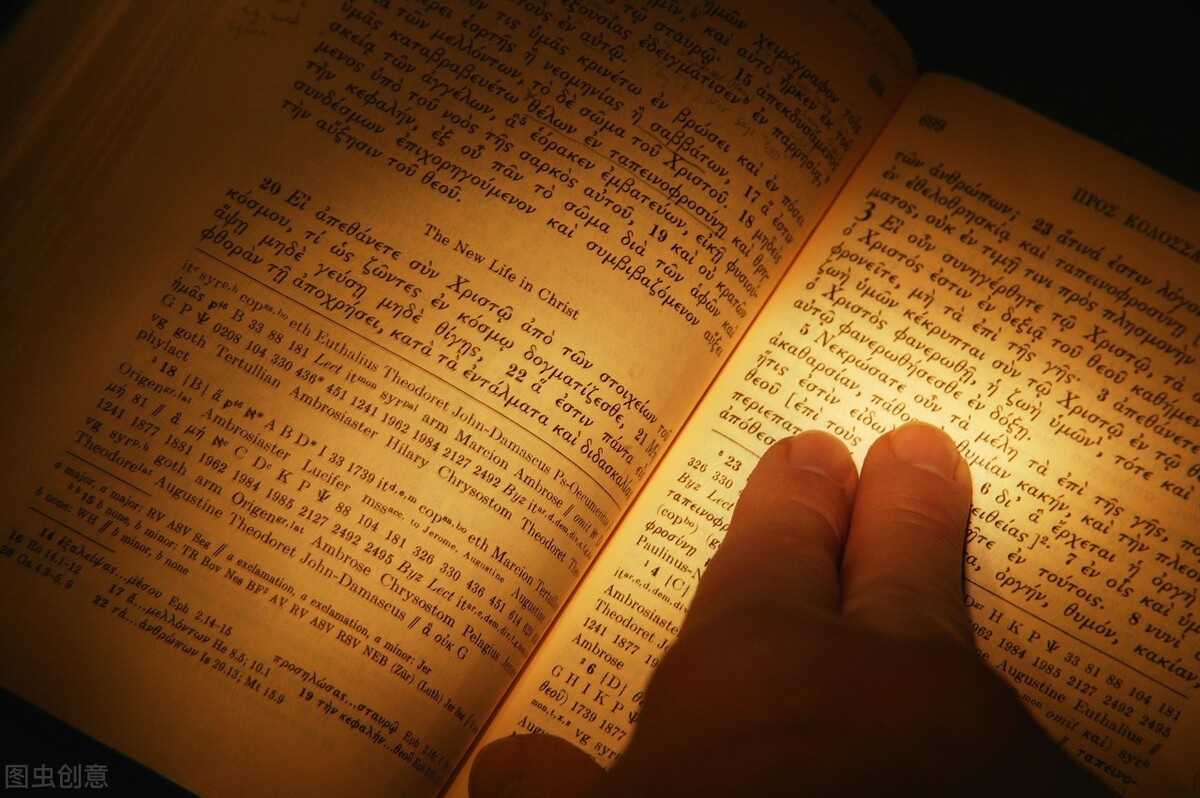 上外立泰语言文化学院怎么样,上海外国语大学立泰学院招生标准