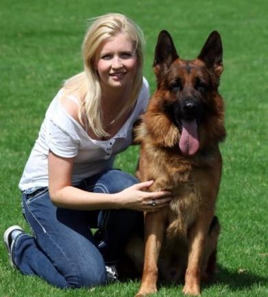 为什么德国人那么喜欢养狗,为什么很多人都喜欢养瑞士牧羊犬