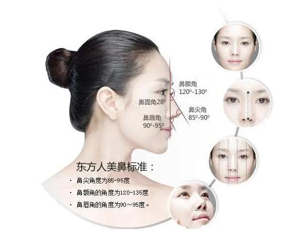 面部的美学曲线,面部艺术美学