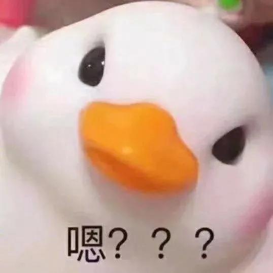 复试不会的问题该怎么回答,复试时遇到不会的问题怎么回答