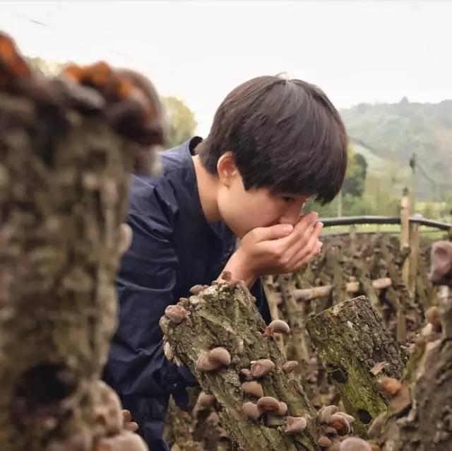 一个四川女人在广东创业,80后小伙儿农村创业年收入十几万