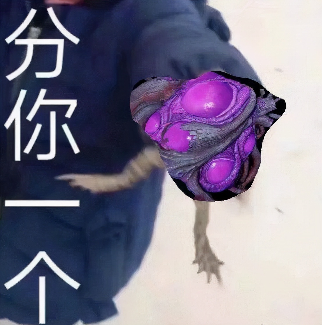 天刀端游托被发现,逆水寒被挂天刀