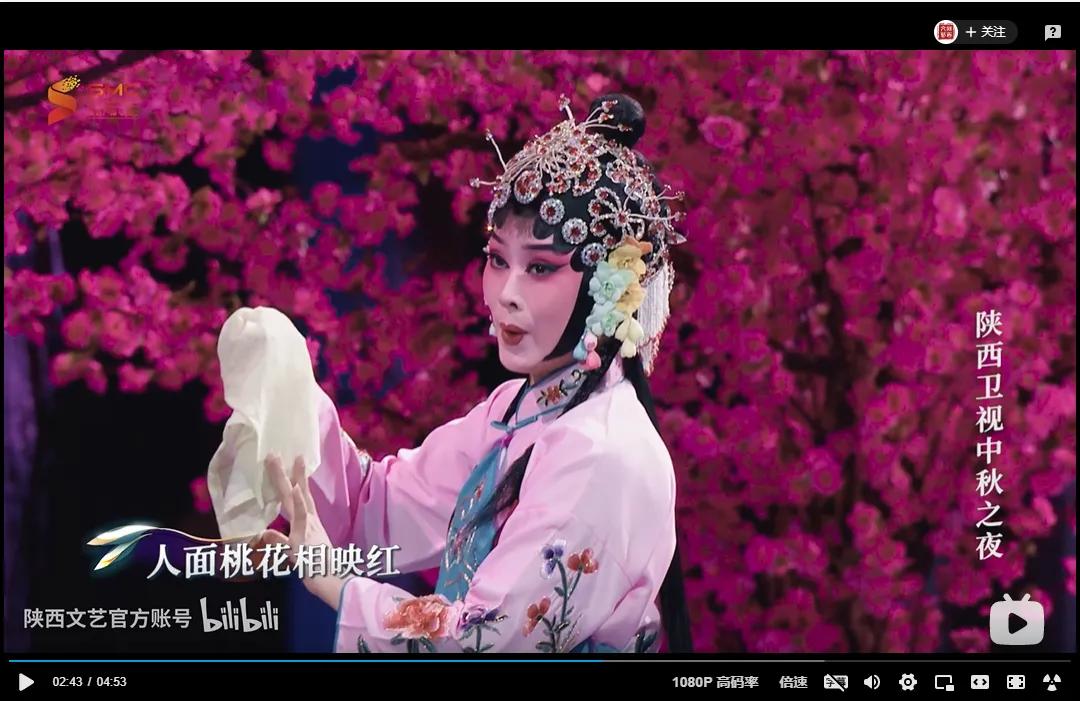 央视评河南卫视中秋,河南卫视中秋节目被央视点评