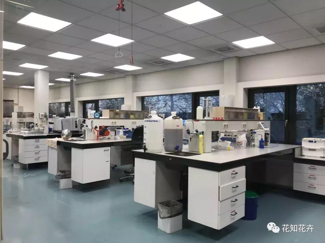 鲜花为什么最爱这一口！｜花呆子的荷兰鲜花游记（二）