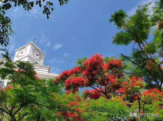 厦门海沧三甲医院名单,海沧区的三甲医院