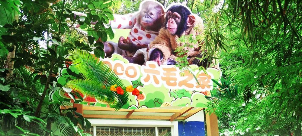 长隆野生动物世界营业时间,广州长隆野生动物园要玩多久