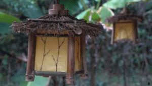 【设计篇】61岁中国大爷火爆外媒！“玩”木头让上亿老外看傻眼！