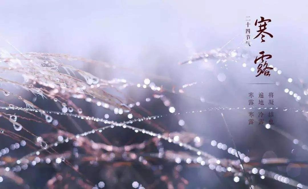 秋风萧瑟天气凉,寒露秋风落叶