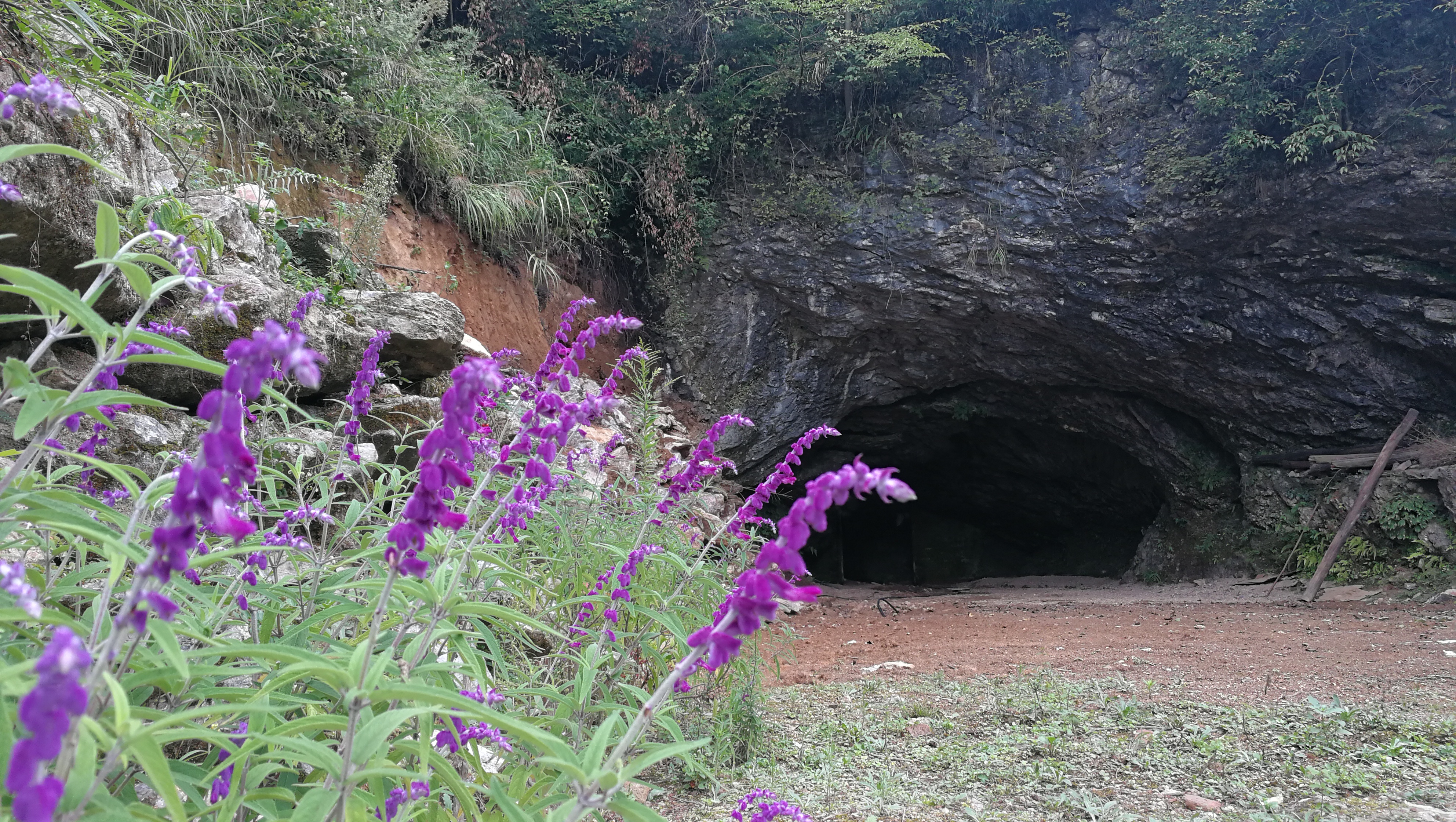 欠款5万又遇到疫情怎么办,欠了几十万外债压力大焦虑怎么办