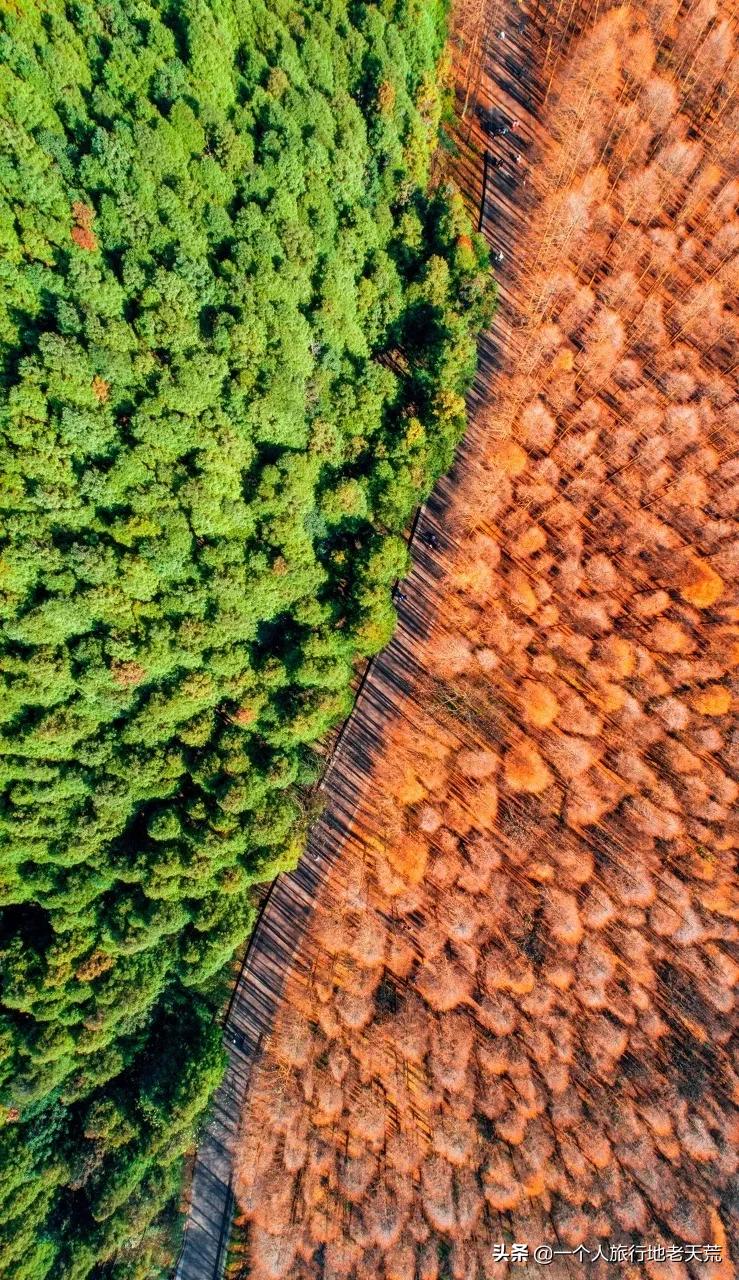 这才是12月最值得去的旅行地,11月12月去哪里旅游最美