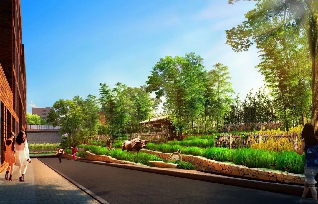 重庆一路向北的区域,重庆哪个板块教育好