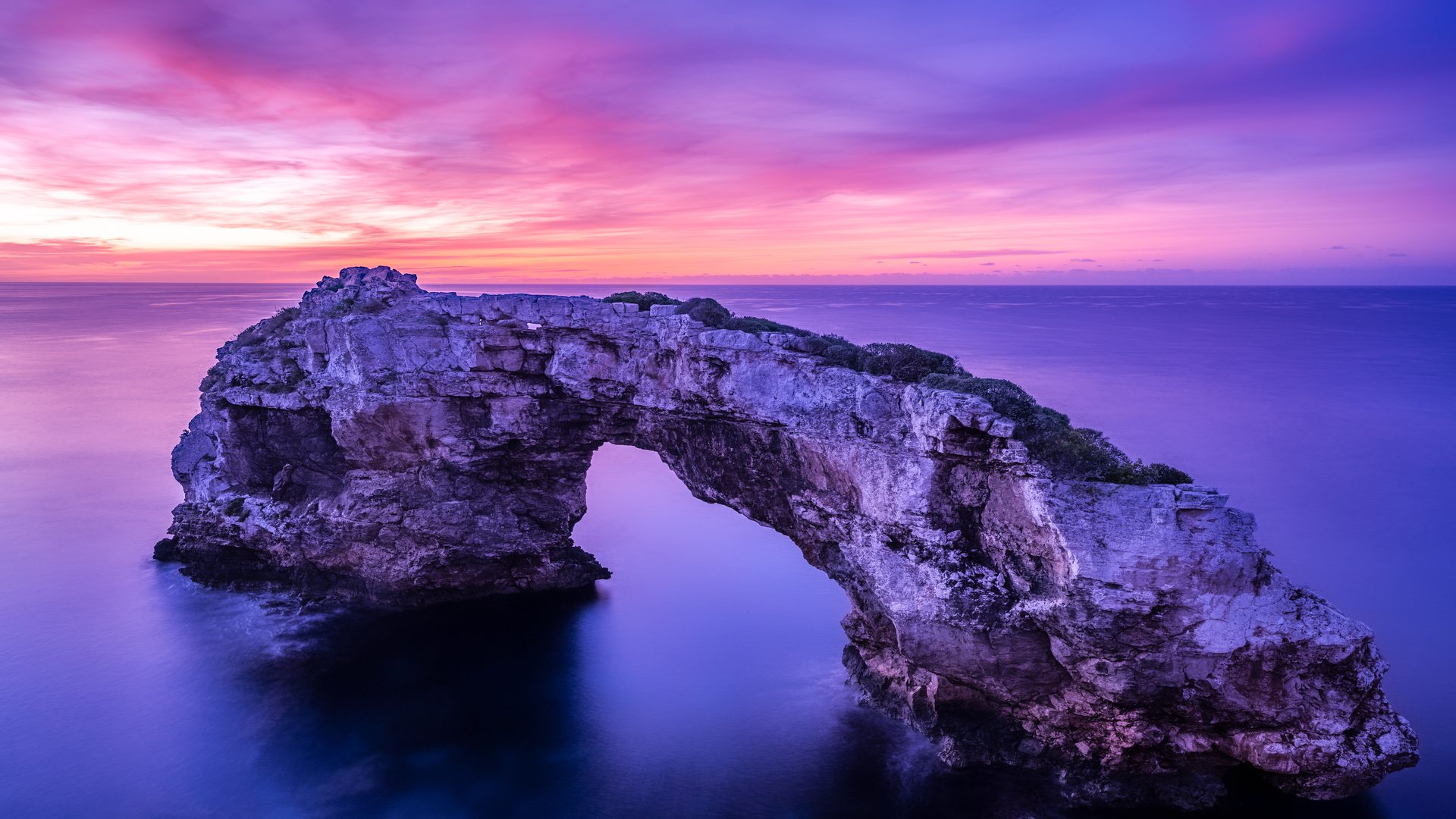 iphone桌面壁纸风景唯美,唯美淡雅花朵风景图片壁纸