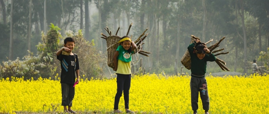特色农业拓展致富路线,全国各地发展农业的优势条件