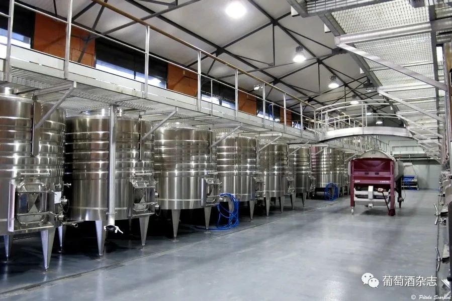 对蜜雪冰城产品的认知,露喜龙产区