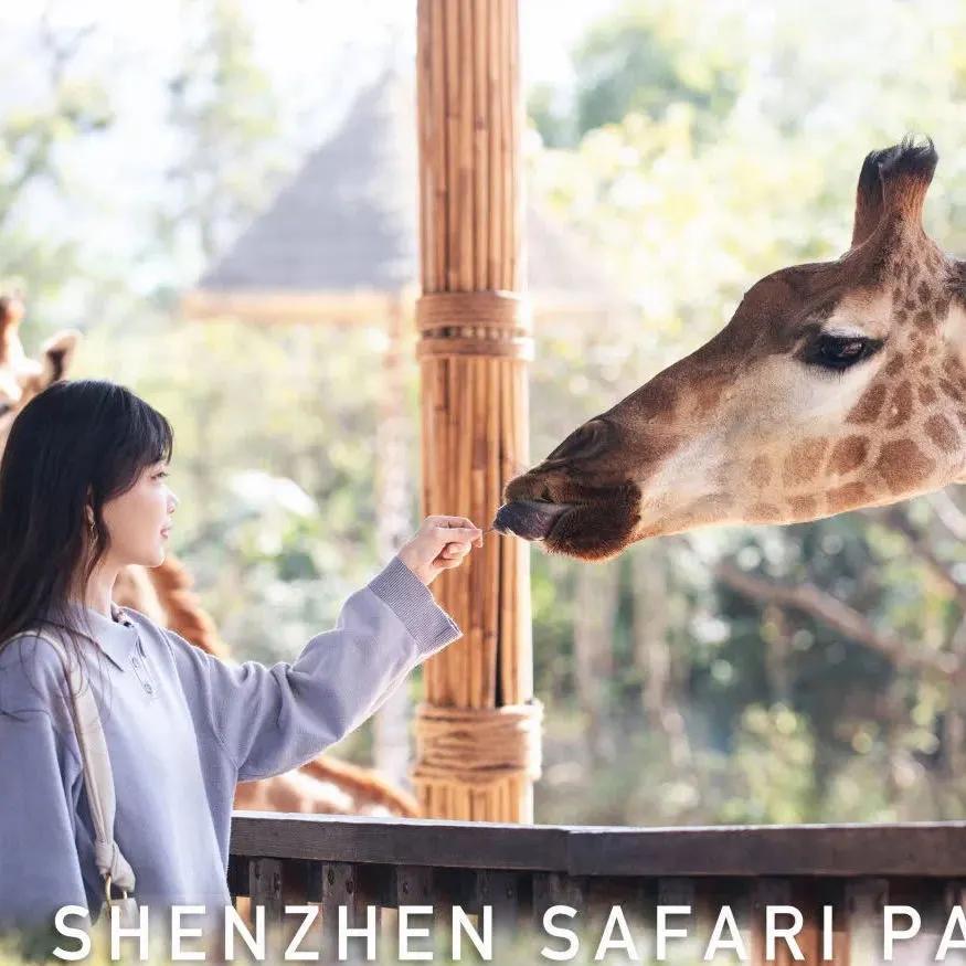 此心安处是吾乡番外篇,此心安处是吾乡21-22预告