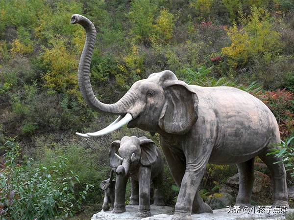 北京社保,北京版二年级上册英语单词