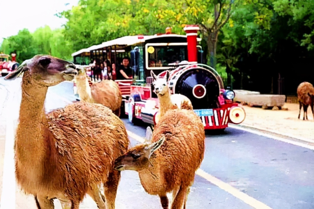 济南市a级景区一览表,山东济南5a景区