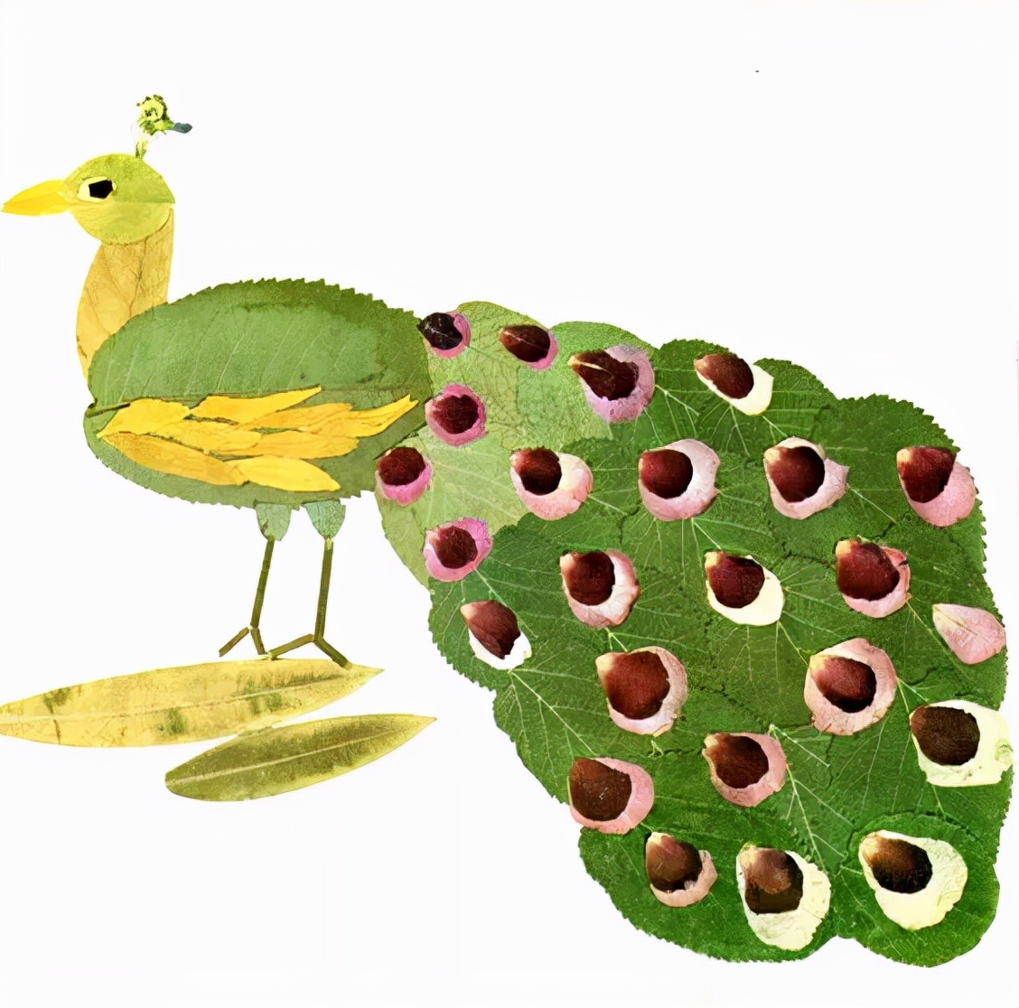 有多少种各种各样的小动物呢,用落叶做可爱的小动物