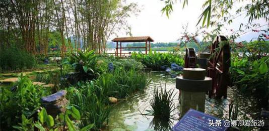 星湖国家湿地公园作用,广东星湖湿地