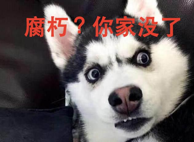 都说哈士奇不能当警犬，但有民警偏要试一试