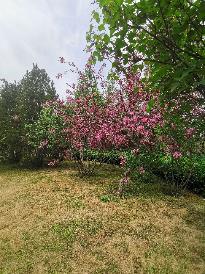 济南地铁出行哪里好玩,济南地铁2号线宜家是哪一站