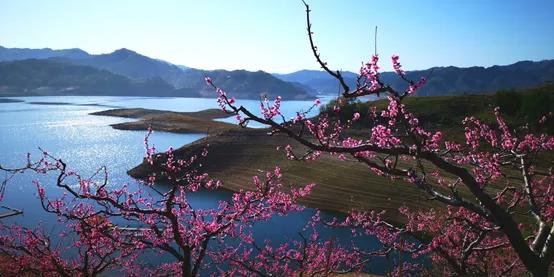 舟山冬天漂亮的海,夏天舟山海边天空