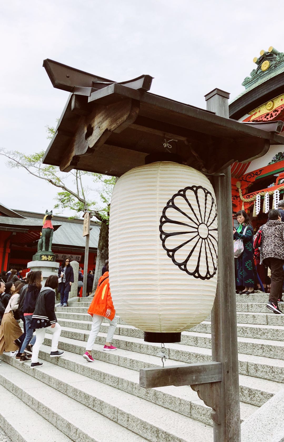 和老人小孩一起旅游,八天七晚豪华游轮旅游