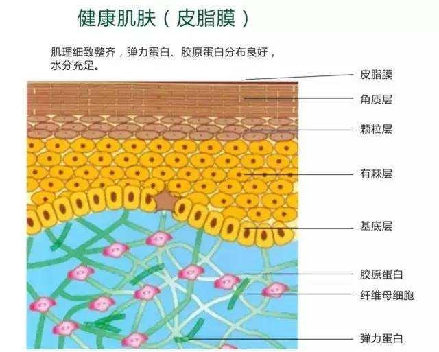皮肤受损红肿怎么办,皮肤干痒红肿怎么急救